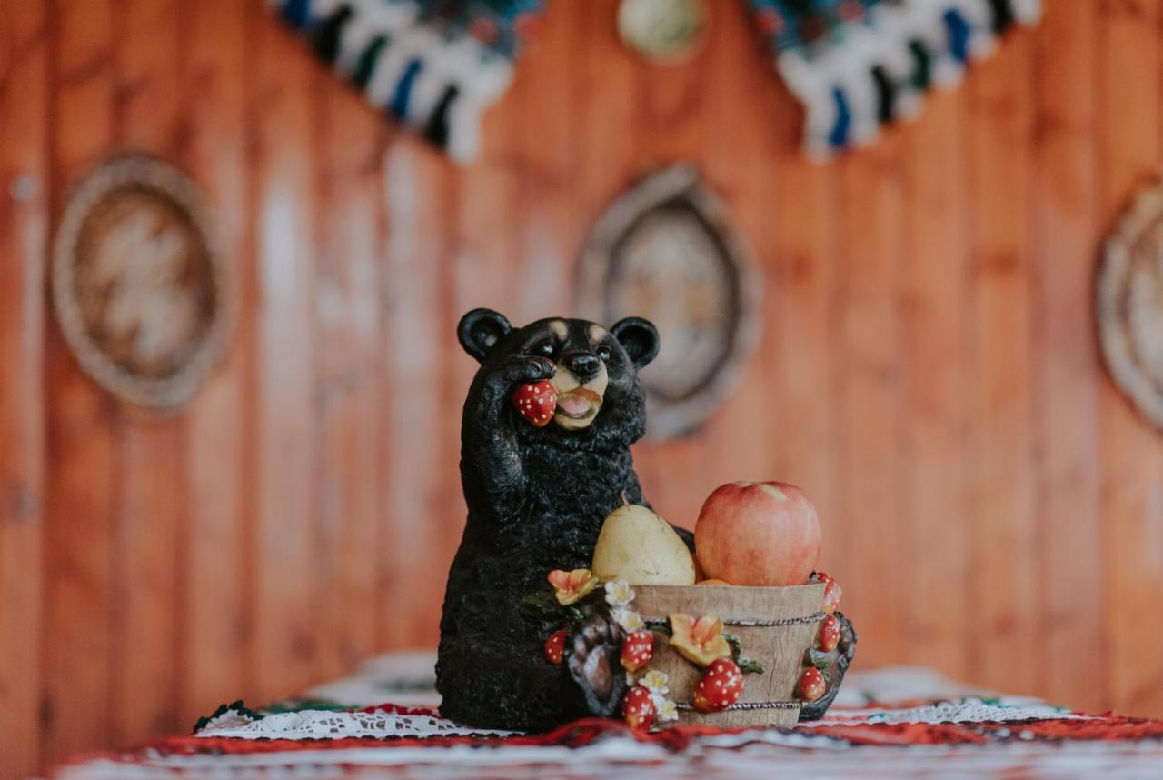 ホテル Casa Otilia Chişcău エクステリア 写真