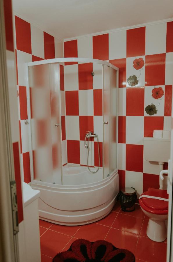 ホテル Casa Otilia Chişcău エクステリア 写真