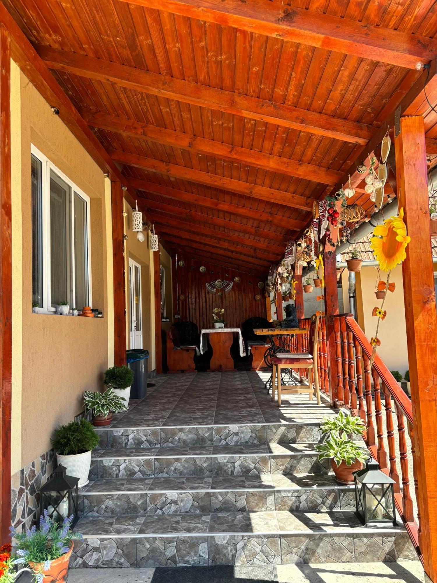 ホテル Casa Otilia Chişcău エクステリア 写真